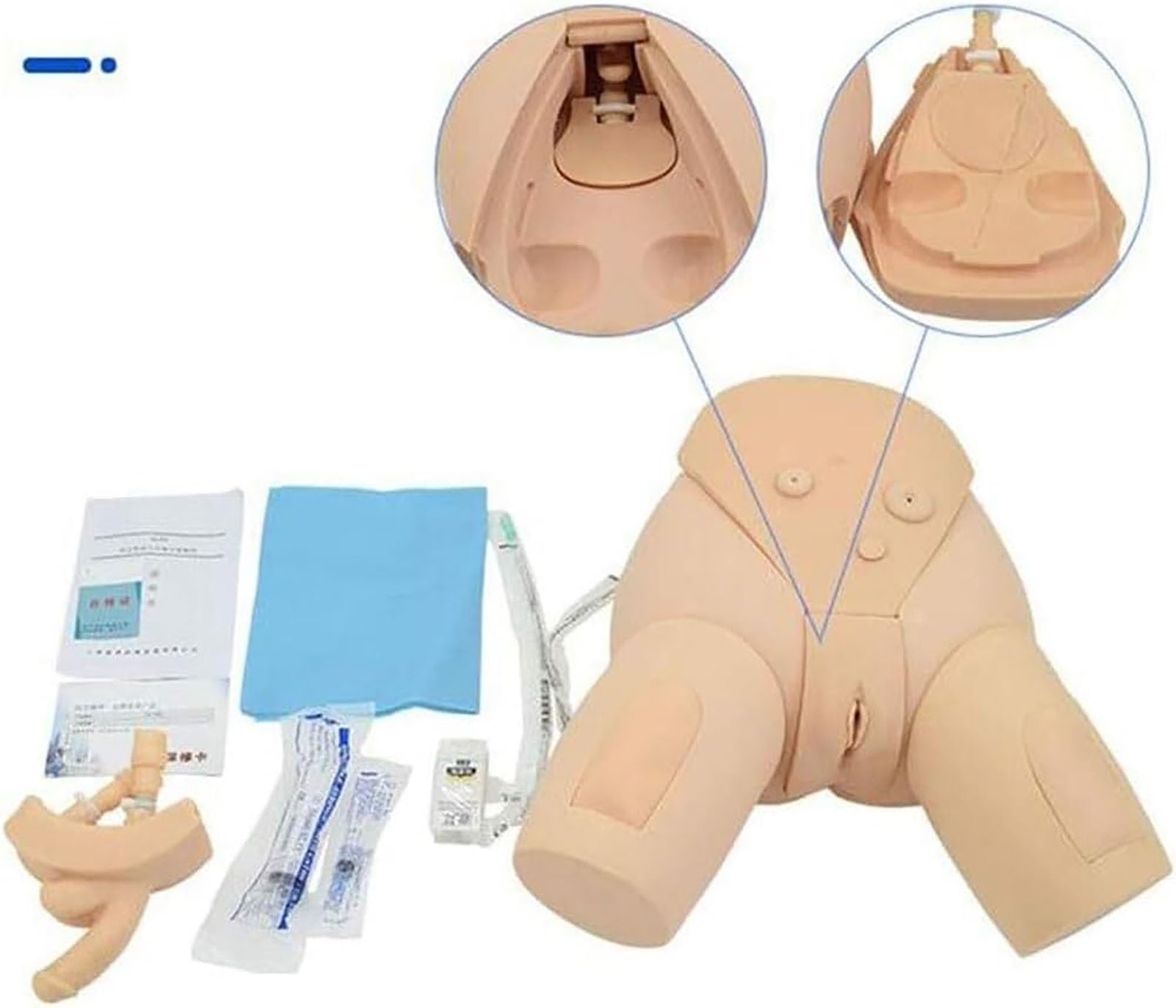 Harnkatheterisierungs-Trainingsmodell, austauschbare männliche und weibliche Manikin-Pflegesimulator für medizinische Praxis, ideal für die Pflegeausbildung