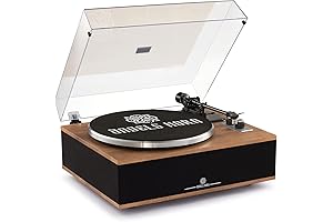 ANGELS HORN Vinyl Music Player: Reimagine Your Vinyl Experience