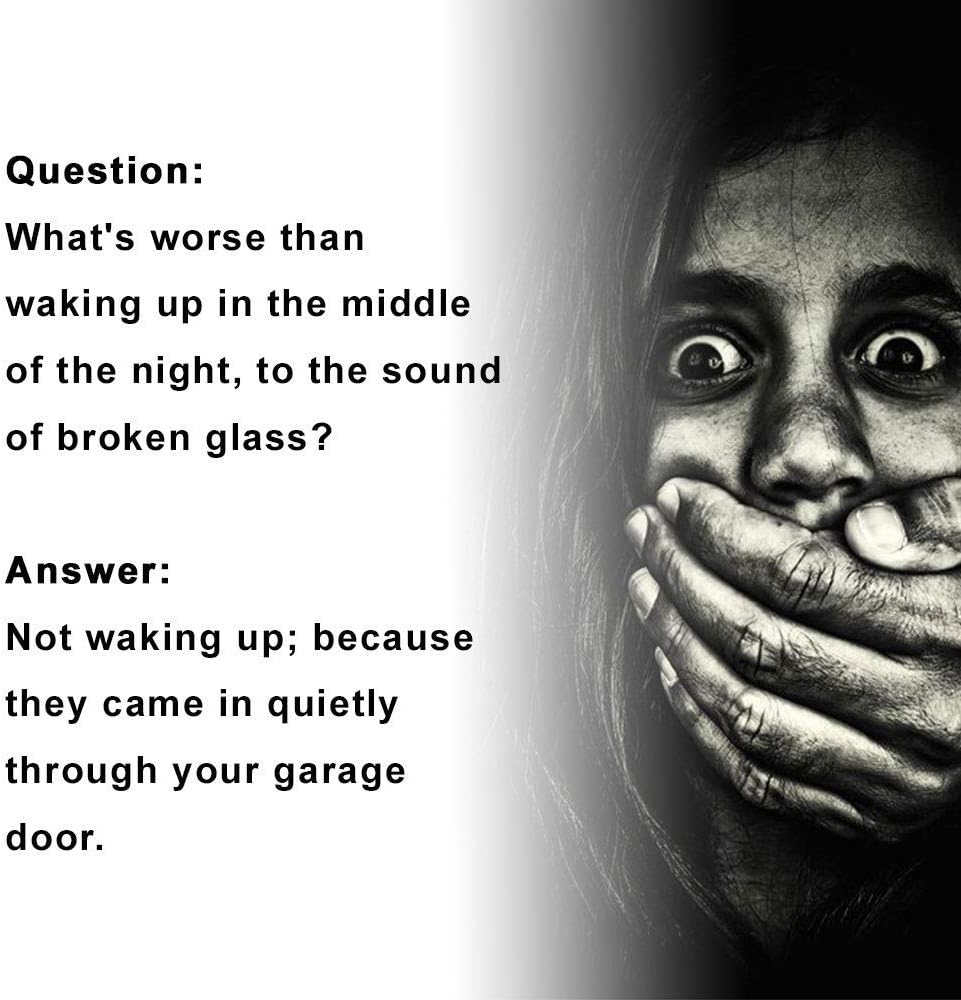Garage Shield - Two Doors - Garage Door Protection Home Security - Proven Effective Against Intruders