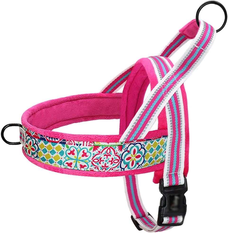 Dog Vest Non-Tension Nylon Reflective Puppy Sling Adjustable Outdoor Walking Pet Sling for Small Medium and Large Dogs (D Medium)