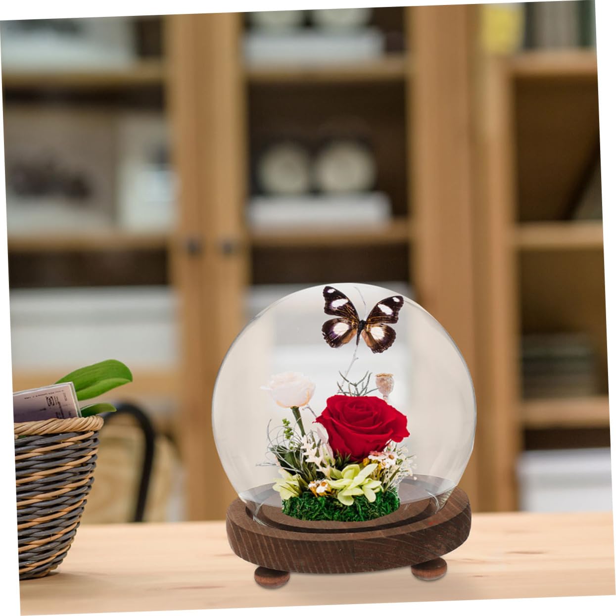 Cabilock Elegante Vaso A Campana in Con Cupola Espositore Floreale Copertura Per Piante Sfere Di Neve Terrario in Con Coperchio Decorazione Per La Casa