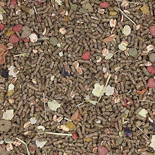 F.M. Brown's (2 Pack)