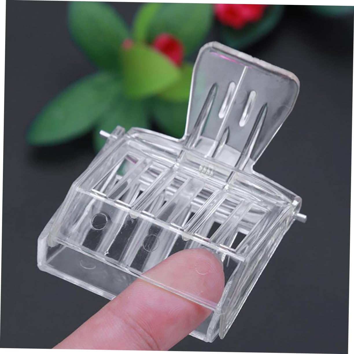 ifundom 4 Set Cage Per Regine Delle Api Strumenti Apicoltura Facili Da Usare E Resistenti Kit Per Apicoltori Attrezzatura Affidabile Per Allevamento Pezzi*4