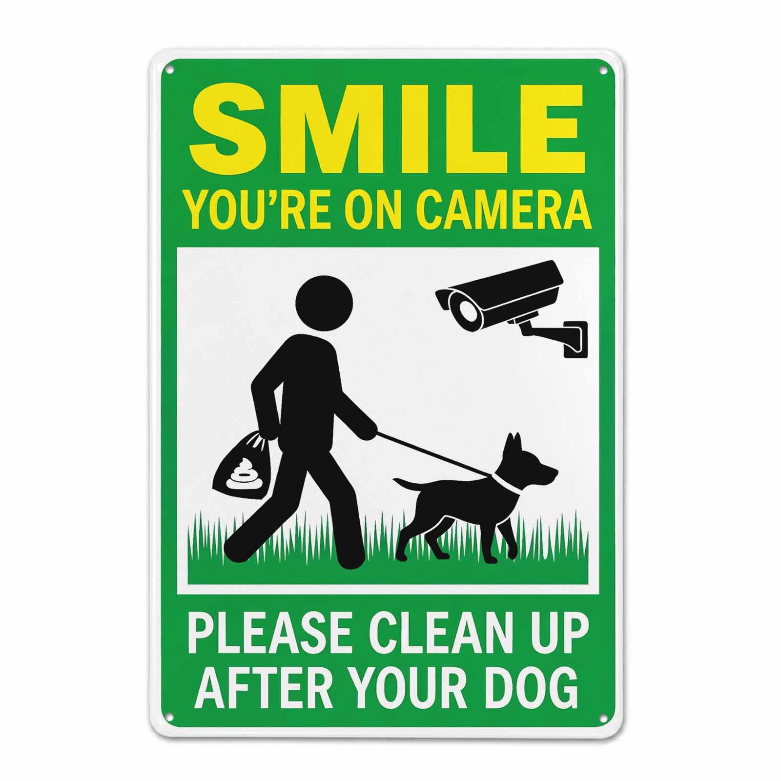 Gsrony Boys Type12 Smile You're On Camera Vintage Metal Tin Sign 8X12,Waterproof