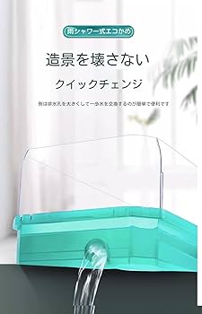 ラピスラズリ　亀 ラピスラズリ 亀 手彫りカービングbd551 - 御徒町の宝石屋