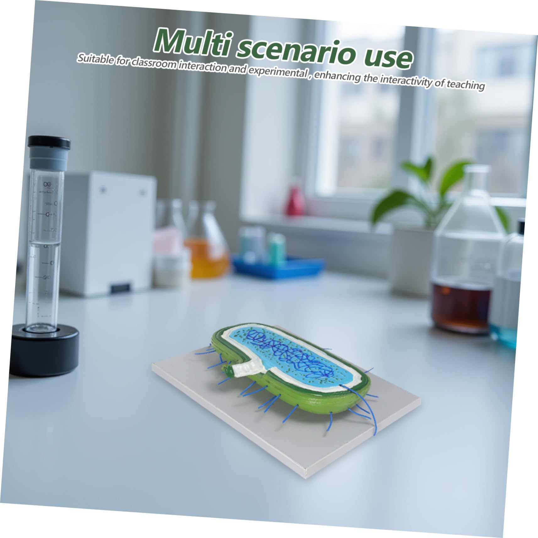 Zellkernmodell aus Kunststoff, Vergrößertes Biologiemodell | Schüler im Biologieunterricht, Detaillierte Darstellung, Interaktives Lernen, für Individuelles Lernen