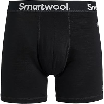 Smartwool Everyday Merino Boxer Brief Boxed