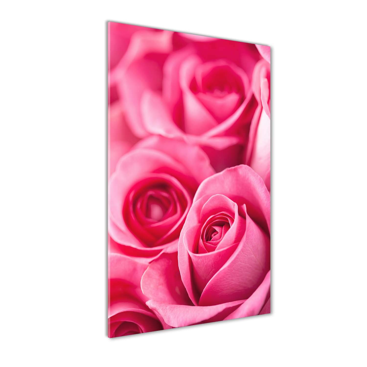Impression sur verre 60x120 cm de roses roses pour une déco panoramique