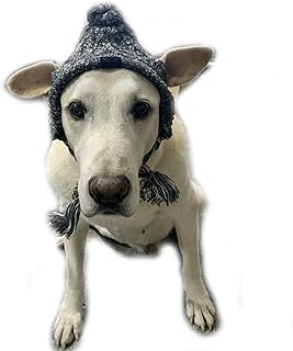 dog hats amazon