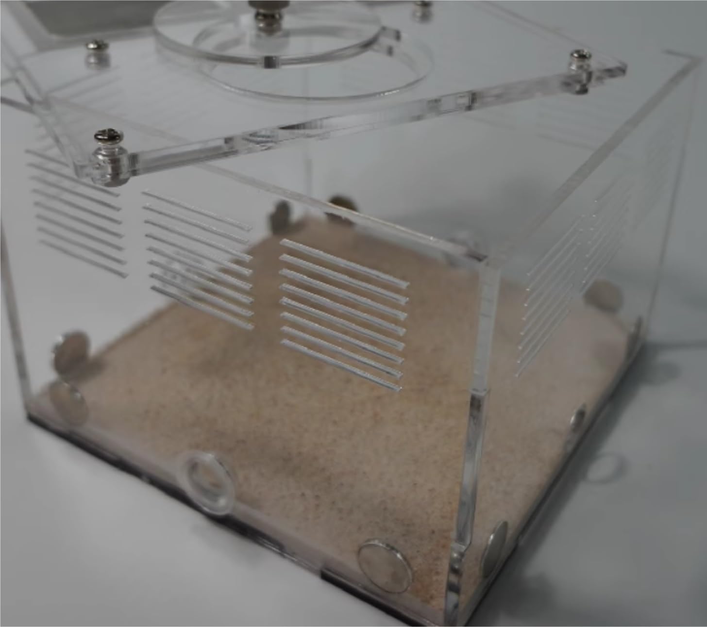 Ant Formicarium Akrylowe Gniazdo Mrówek DIY Gniazdo Betonowe Gniazdo Mrówek Dom Wiejski Warsztat Wiwarium Mrówek Edukacja Nauka Gniazdo Mrowiska