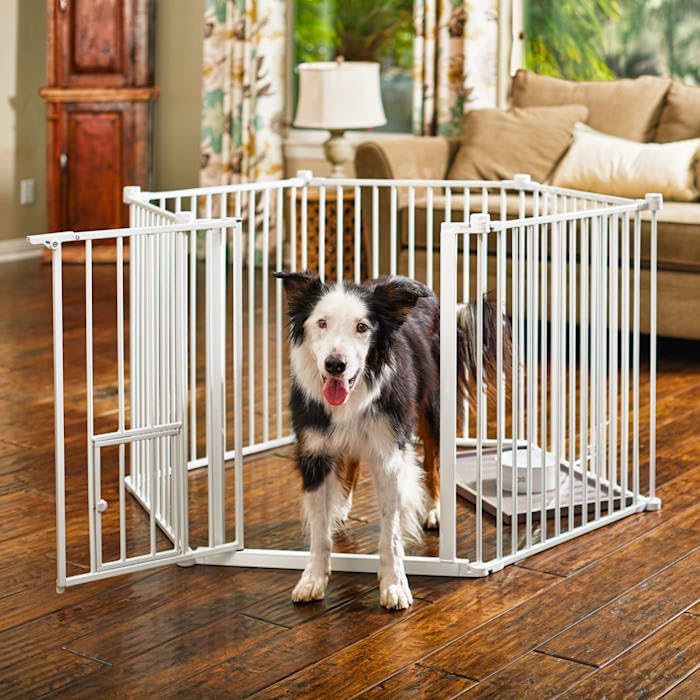 EveryYay by Petco in The Zone Steel Pet Gate & Play Pen 144" W X 28" H
