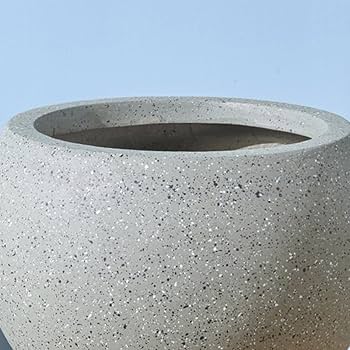 Amazon.co.jp: [ムリョ] 植木鉢 セメント 鉢 受け皿なし 観葉植物 03