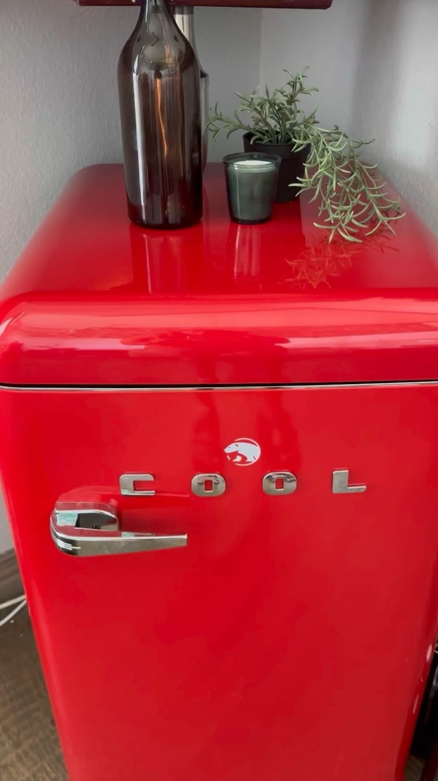 Commercial Cool Refrigerator Review!