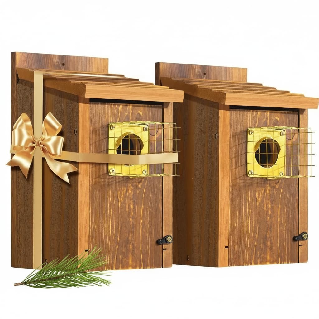 2pk Fortress Bluebird House