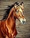 Produktbild RunFar Pferd Design DIY 5D Diamant Malerei Stickerei Diamond Kreuzstich Painting Heim Room Decor