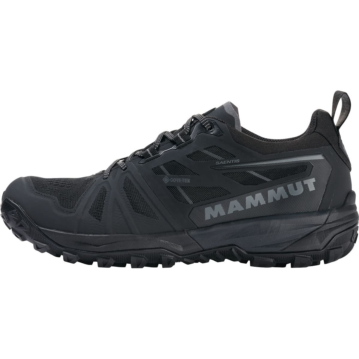 Mammut Kobiety saentis low gtxButy trailowe