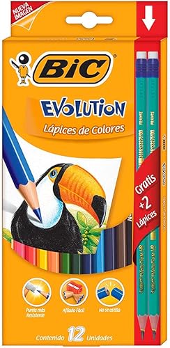 Bic Kids Evolution ECOlutions - Lápices para colorear, varios colores, ecológicos, 2.47 oz, 12 unidades (paquete de 1)