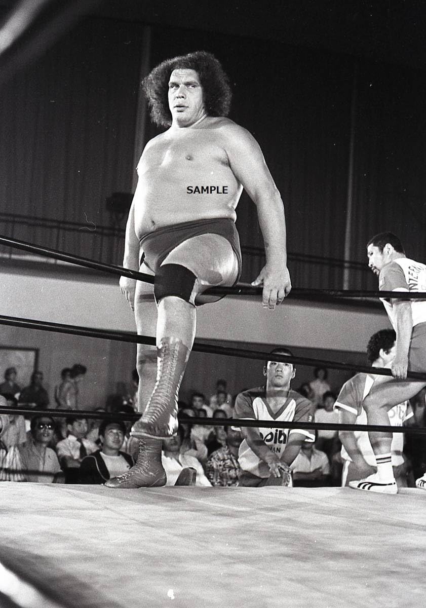 Amazon.co.jp: 国際プロレス アンドレザジャイアント ブロマイドセット