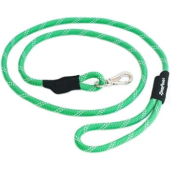 lightweight leash