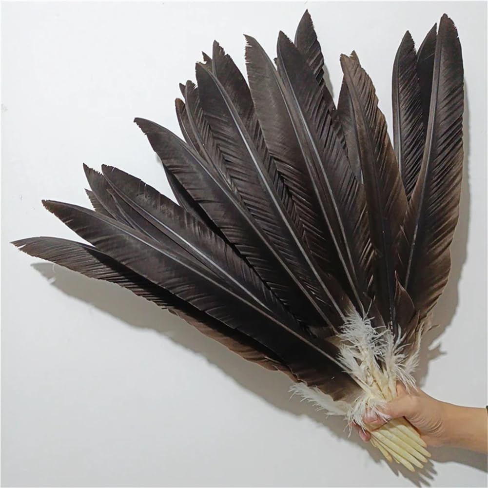 Lot De 10 Plumes Naturelles De Dinde - Grandes Plumes Brut Pour Artisanat, Coiffure Indienne, Déco Boho Et DIY