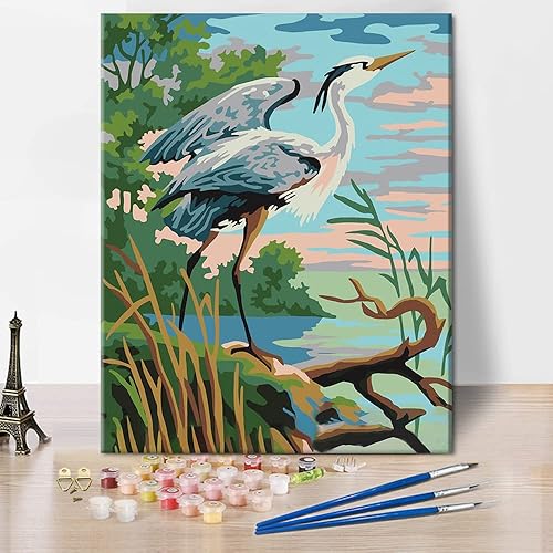 TISHIRON Pintura por número para adultos y niños principiantes pintura de dibujo de garza con pinceles pintura de pájaros manualidades decoración de