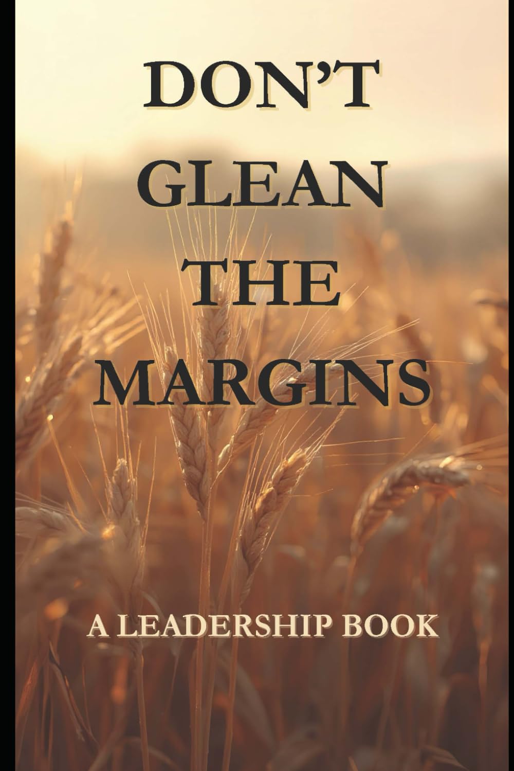 Don't Glean the Margins: Purpose Over Profit: A Servant Leader’s Guide to Margin, Mercy, and Meaning