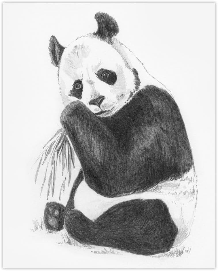 Royal Brush Sketching Made Easy Box Set