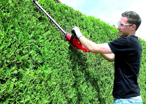 Foto von Einhell Elektro-Heckenschere GC-EH 4550 (geringes Gewicht, Messer aus lasergeschnittenem und diamantgeschliffenem Stahl, inkl. Alu-Messerabdeckung), Rot