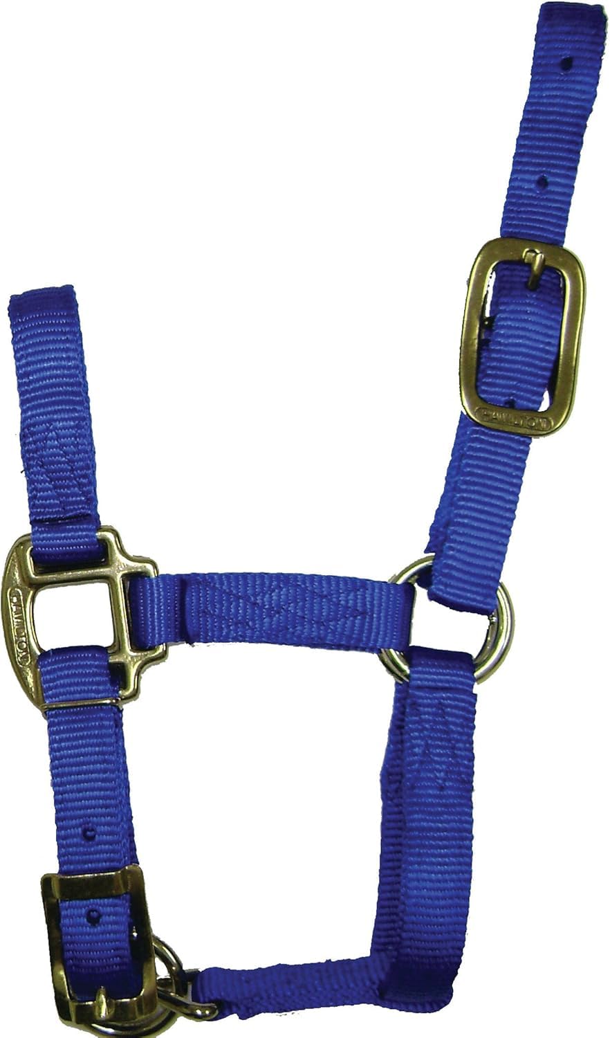 Licou de cheval réglable 3/4 de pouce Hamilton doté de boucles robustes antirouille