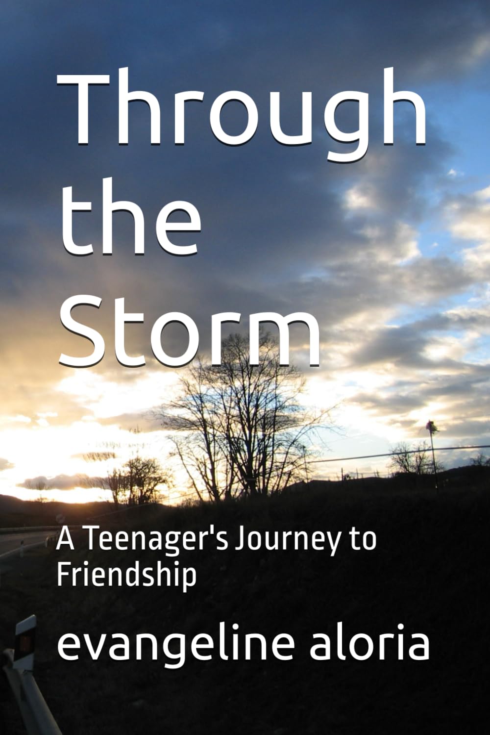 Through the Storm: A Teenager's Journey to Friendship