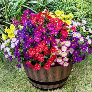Artificial Faux Flowers for Outdoor 16 Bundles Boxwood Fake Morning Glory for Planter,UV Resistant Fake Flowers for Home Porch Patio Outside（8 Color）