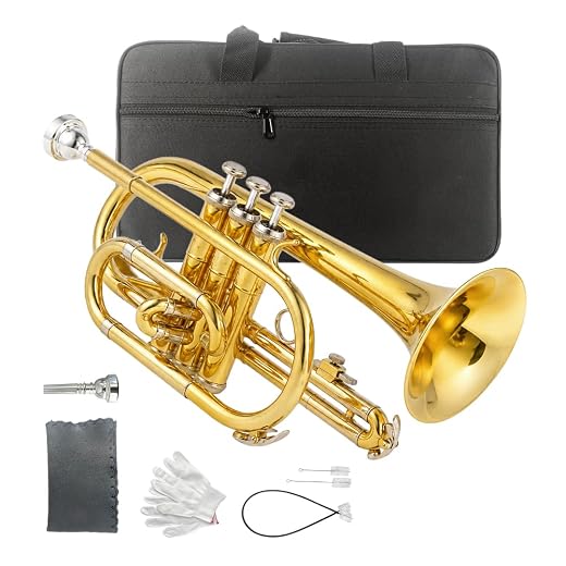 Bb Cornet Brass Instrument for Adults Beginners Cornet Kit with Mouthpiece Carrying Case Cleaning Cloth Gloves (Gold)