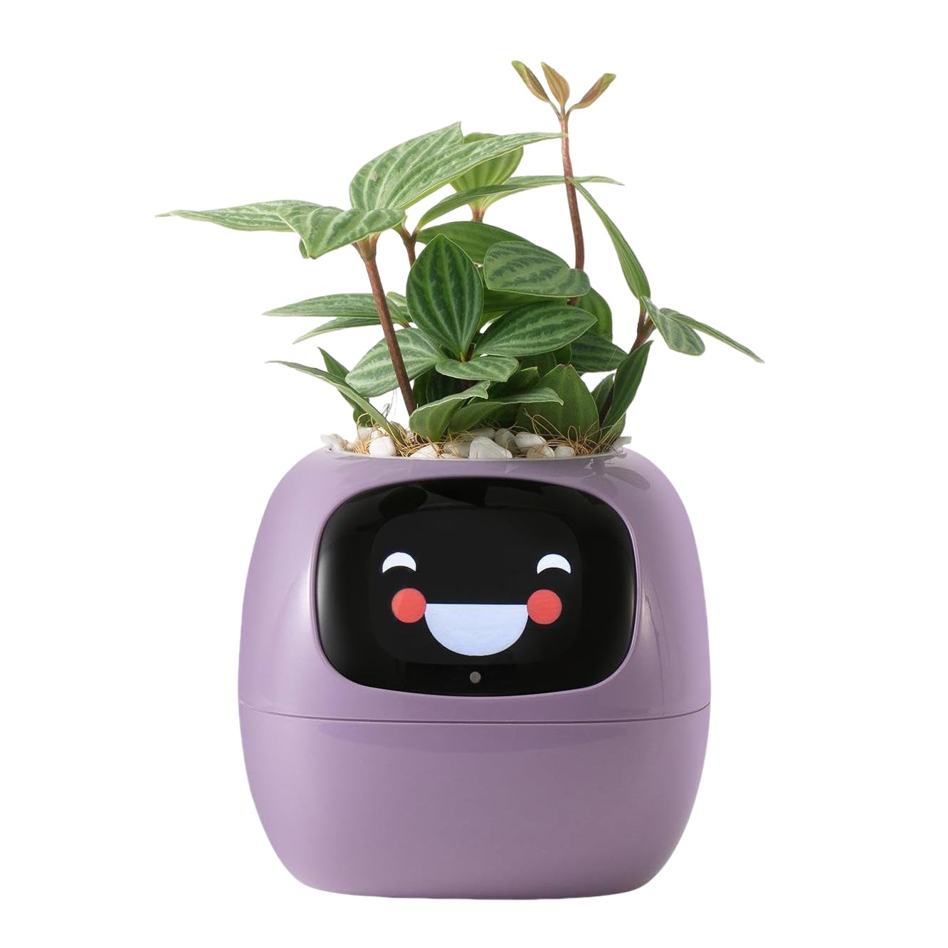 OUSEITECH Cute Smart Plant Pot, Interactive Plant Pot, Multifunctional intelligent Pet, Big Data With 7 Sensors To Assist In Planting, for Succulents and Other Small Plants (purple) — image 1