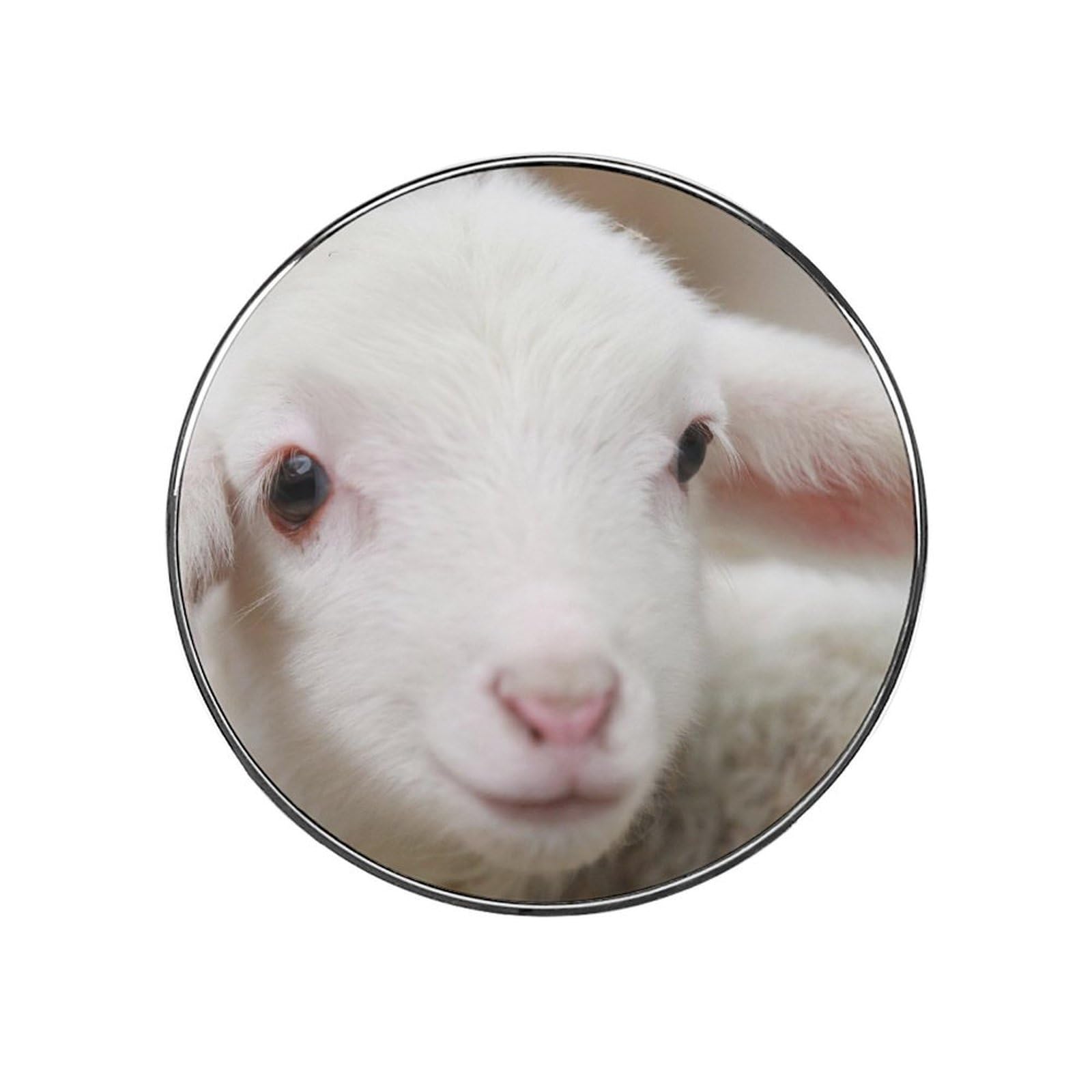 White Sheep Magnets For Fridge Kitchen Decoration For Refrigerators Whiteboards