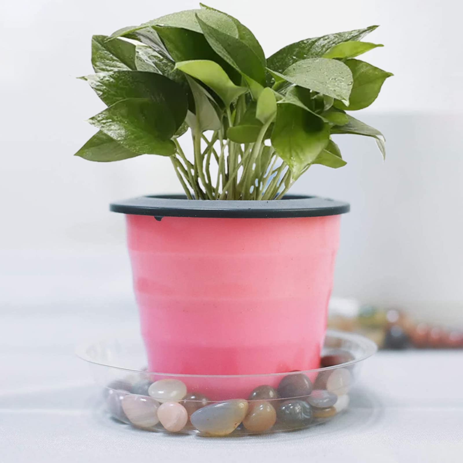 10 Soucoupes Transparentes Pour Pots De Fleurs 6 Pouces - Récupérateur D'Eau Pour Plantes D'Intérieur & Extérieur - 10