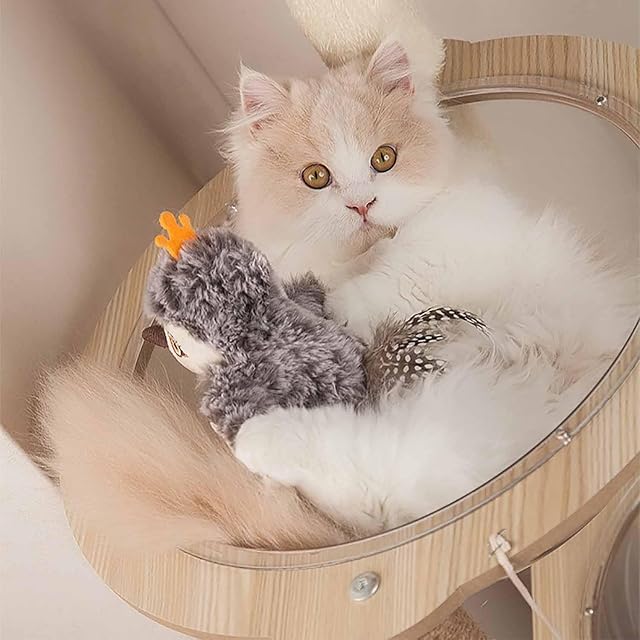 Foto 6 de 7 de Piper Tomi Cat Toy, Pipertomi Cat Toy, Flapping Bird Cat Toy, Chirping Bird Cat Toy Flapping Wings