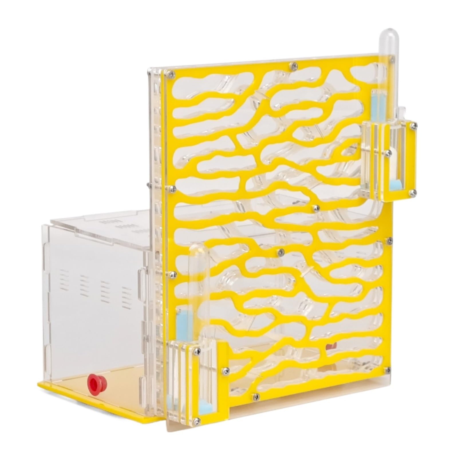 Transparenter Ameisennest-Lebensraum aus Acryl, großes Ameisenkolonie-Formicarium zur Beobachtung der Ameisenhaltung(Yellow)