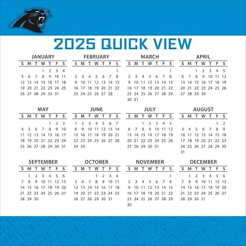 Vista 4 de Turner Sports Carolina Panthers 25998053032 - Calendario 2025
