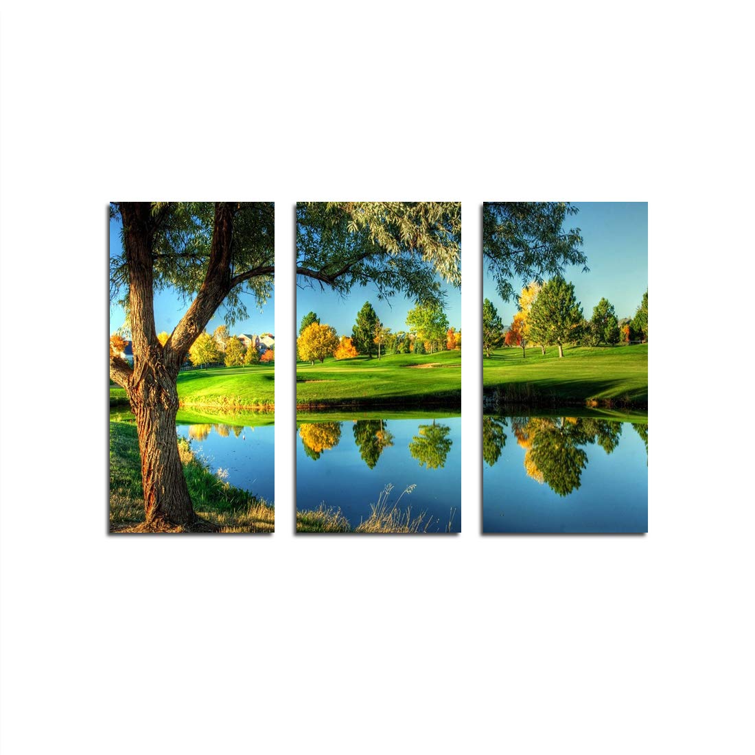 XtremeSkinsFramed Canvas - Wall Decor for Living Room, Bedroom, Office, Hotels, Drawing Room (46in X 27in) - Golf Course Landscape