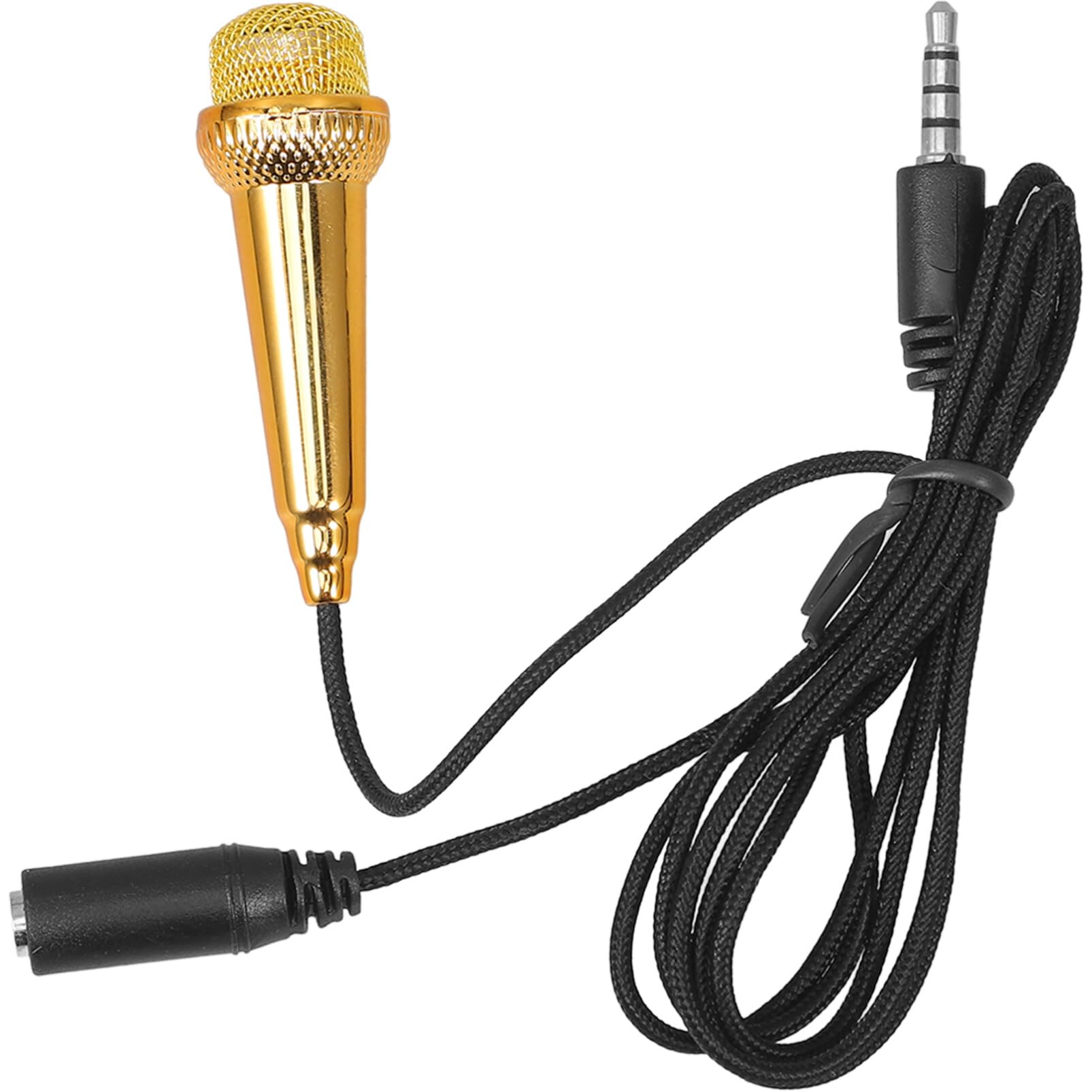 5 Pcs Microphone Simulé Enfant Accessoire De Jouet Faire Semblant 5 Pcs Microphone Simulé Enfant Accessoire De Jouet Faire Semblant