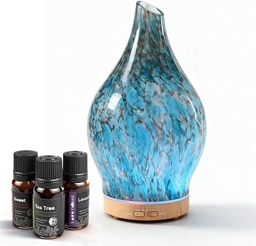 Glass Oil Diffuser with 3 Essential Oil Set,200ml Diffuser for Decor
