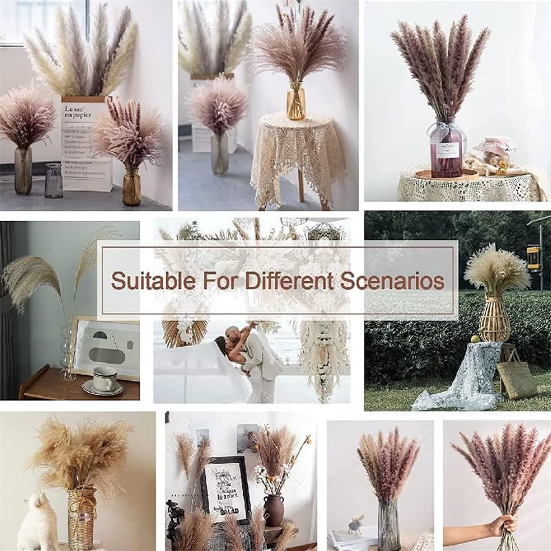 Pampas Grass Large 60pcs Dried Pampas Grass Decor miniatura 3