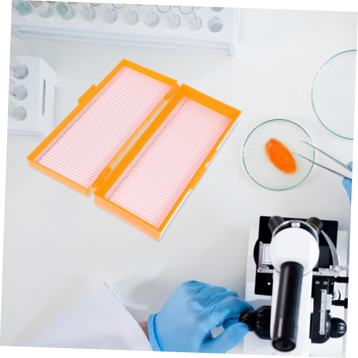 Gatuida 10pezzi Scatola Per Vetrini Da Microscopio Conservazione Sicura e Riutilizzabile Capacità Elevata Per Laboratori e Scuole Design Leggero e Pratico