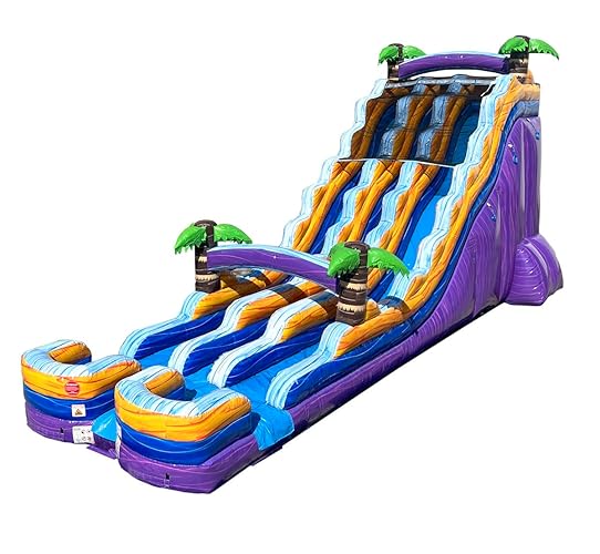 Dual Lane Inflatable Slide