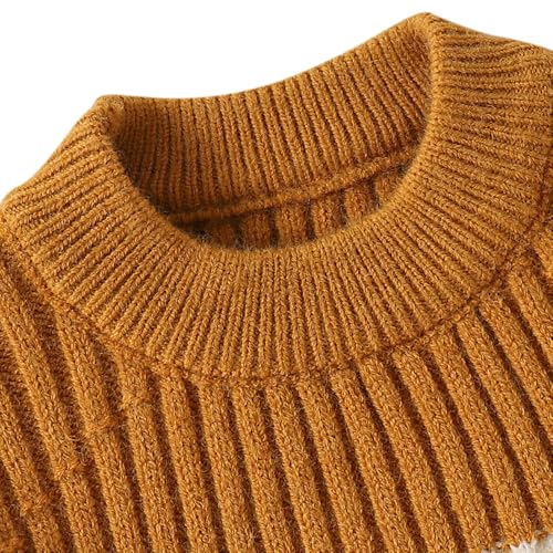 Image of Hopscotch Boys Polyester Blend Round Neck Sweaters