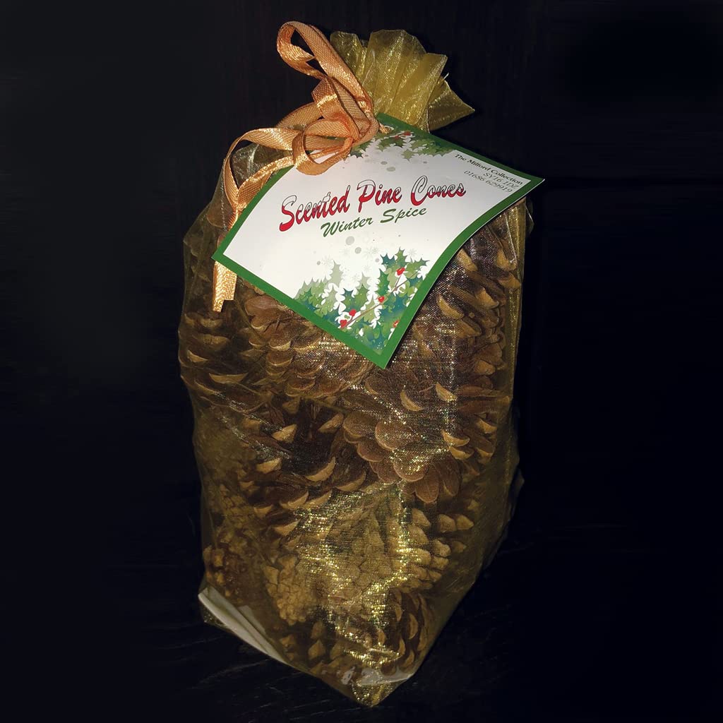 Milford Collection Gold The Scented Pine Cones Organza Bag - Winter Spice 500G
