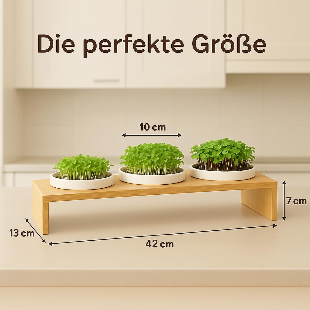 Glücksmoment Kressebank 42cm mit 3 Keramik Kresse Anzuchtschalen für Kressesamen, Sprossen & Microgreens, Sprossen Anzuchtset, Anzuchtregal, 3 Anzuchttöpfe, 3 x Keimschale mit Kressesieb, Keimschalen