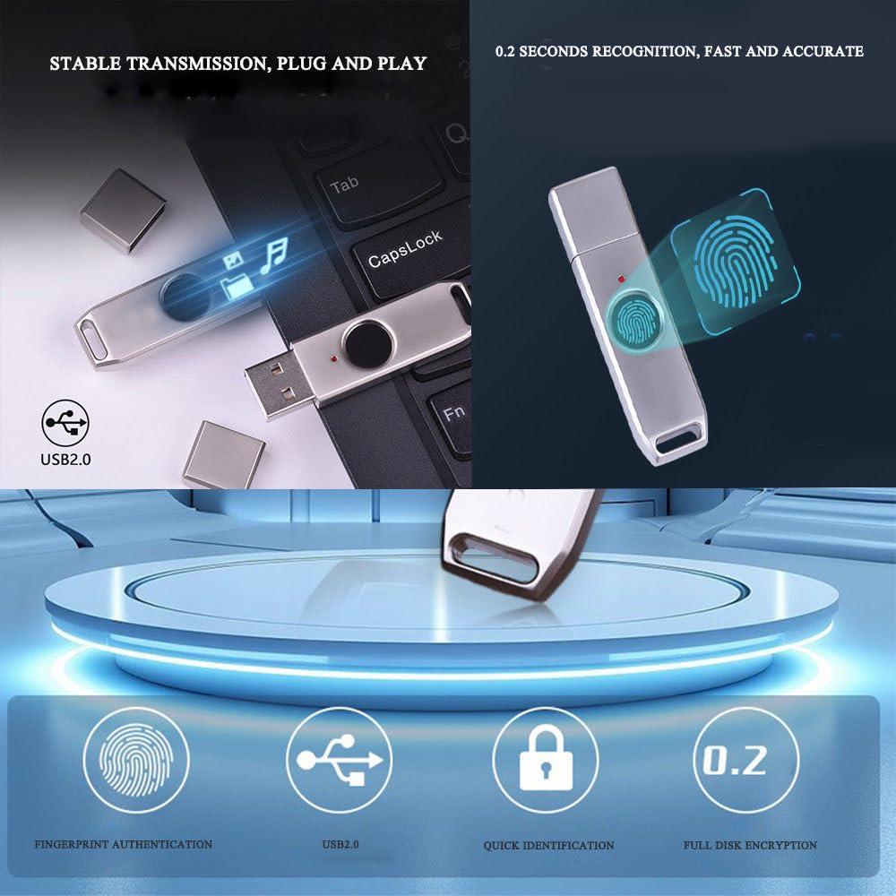 Chiavetta USB con sblocco Impronte digitali, Dispositivo di archiviazione Portatile antifurto in Metallo, Memoria con 10 ID Impronte digitali, Trasmissione Rapida 256GB
