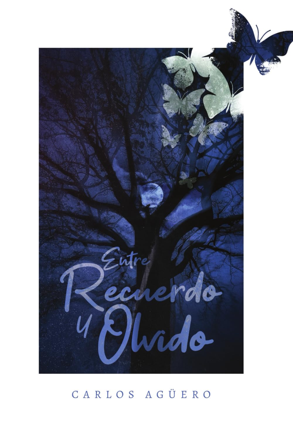 Entre Recuerdo y Olvido: Poesía Romántica