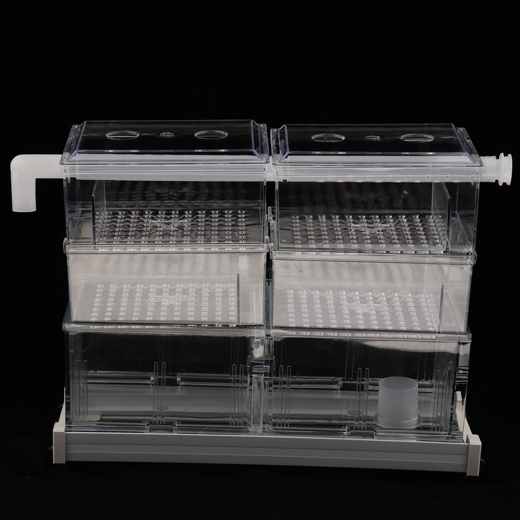 Transparent Aquarium Filter Box Filterkasten Fish Tank Filterausstattung